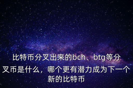 比特幣分叉出來的bch、btg等分叉幣是什么，哪個(gè)更有潛力成為下一個(gè)新的比特幣