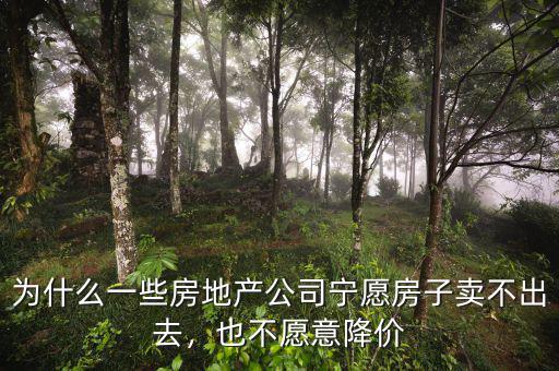 為什么一些房地產(chǎn)公司寧愿房子賣不出去，也不愿意降價(jià)