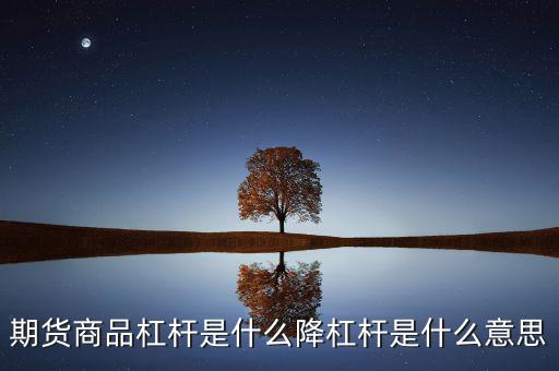 滿(mǎn)倉(cāng)加杠桿什么意思,降杠桿是什么意思