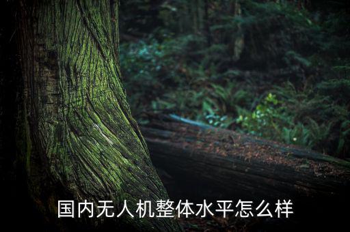 安果無人機(jī)怎么樣,無人機(jī)飛手的前景怎么樣