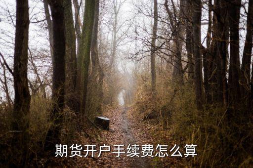 白糖期貨怎么開戶,期貨該怎么開戶