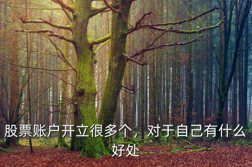 股票賬戶開立很多個，對于自己有什么好處