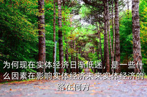 為何現(xiàn)在實體經(jīng)濟日漸低迷，是一些什么因素在影響實體經(jīng)濟未來實體經(jīng)濟的路在何方