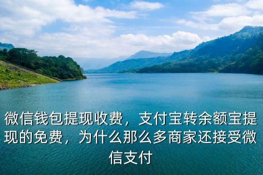微信錢包提現(xiàn)收費，支付寶轉(zhuǎn)余額寶提現(xiàn)的免費，為什么那么多商家還接受微信支付