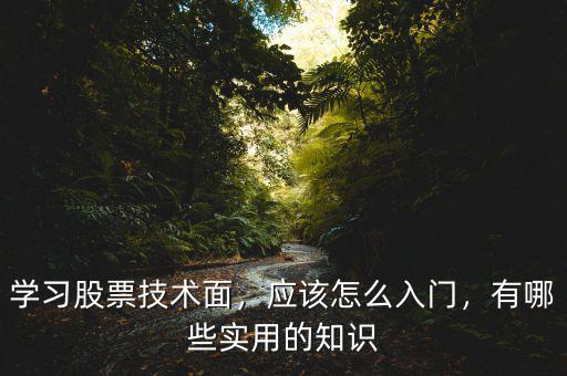股市的技術面怎么分析,應該怎么入門