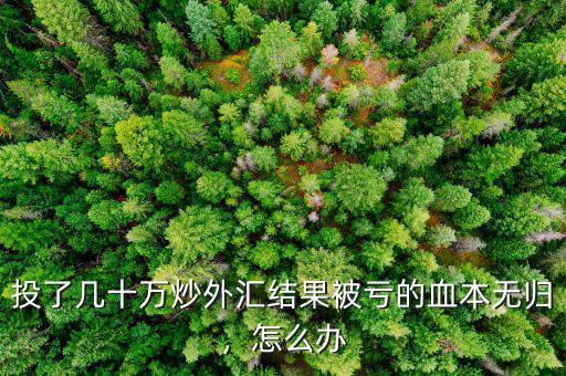投了幾十萬炒外匯結(jié)果被虧的血本無歸，怎么辦