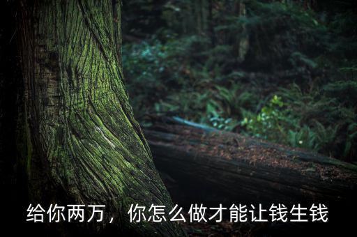 給你兩萬，你怎么做才能讓錢生錢