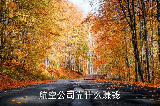 航空公司靠什么賺錢(qián),靠什么賺錢(qián)啊