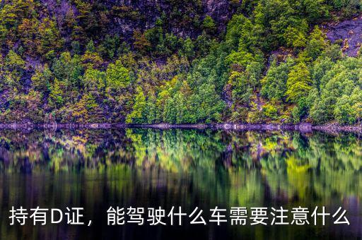 持有D證，能駕駛什么車(chē)需要注意什么