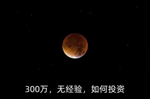 300萬，無經(jīng)驗(yàn)，如何投資