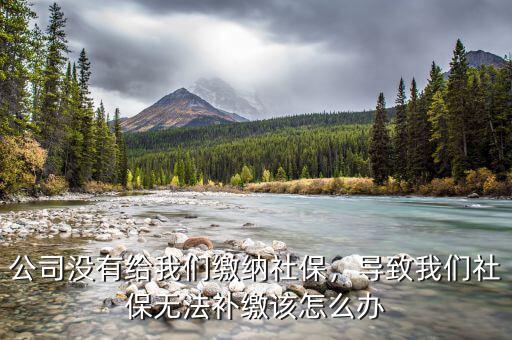 公司未給繳納社保怎么辦,公司沒(méi)有給我們繳納社保