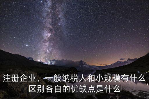 規(guī)模優(yōu)勢是什么,各自的優(yōu)缺點(diǎn)是什么