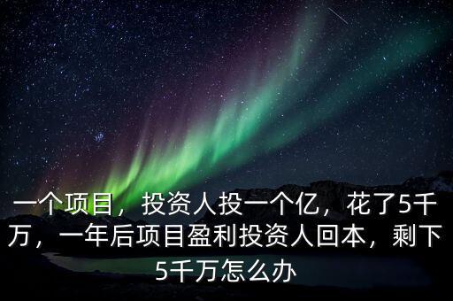 一個項目，投資人投一個億，花了5千萬，一年后項目盈利投資人回本，剩下5千萬怎么辦