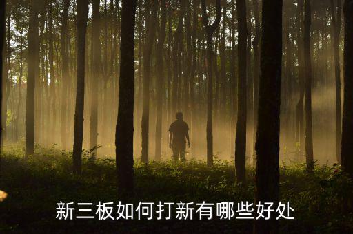 掛新三板有什么好處,對(duì)企業(yè)有什么好處