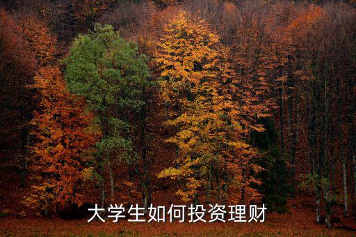 大學生怎么投資理財,大學生如何培養(yǎng)投資理財意識