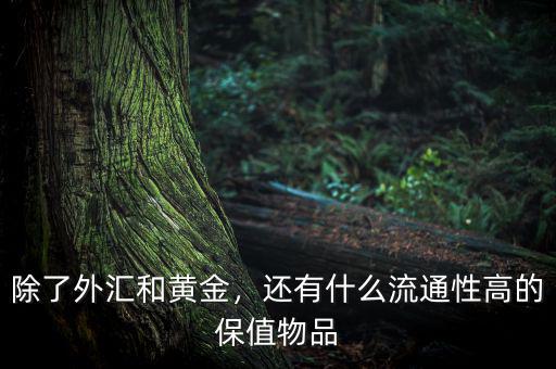 除了外匯和黃金，還有什么流通性高的保值物品