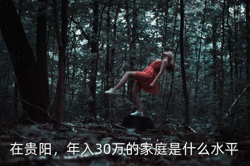在貴陽，年入30萬的家庭是什么水平