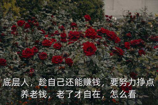 底層人，趁自己還能賺錢，要努力掙點(diǎn)養(yǎng)老錢，老了才自在，怎么看