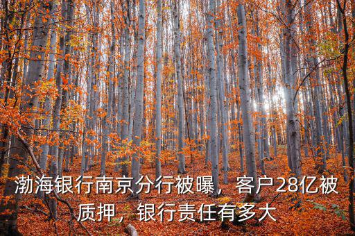 渤海銀行南京分行被曝，客戶28億被質(zhì)押，銀行責(zé)任有多大