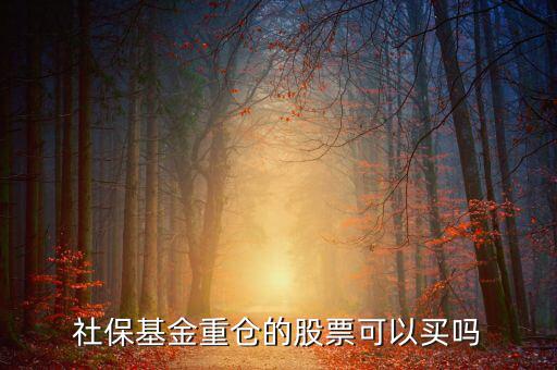 社保買了獐子島多少股票,社?；鹬貍}的股票可以買嗎