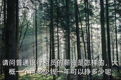 請(qǐng)問普通銀行柜員的薪資是怎樣的，大概一個(gè)月多少錢一年可以掙多少呢