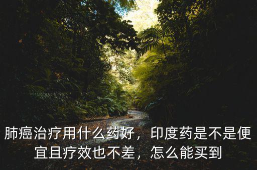 怎么買印度藥,面對天價(jià)抗癌藥