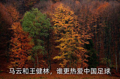馬云和王健林，誰(shuí)更熱愛中國(guó)足球