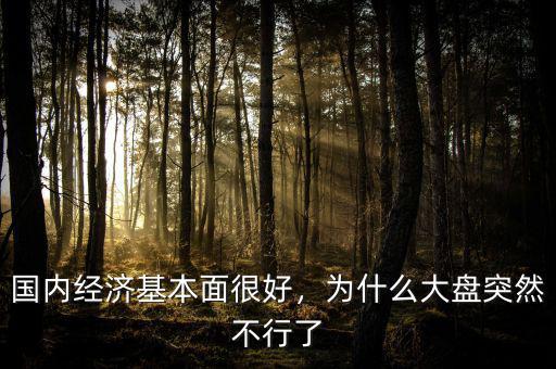國(guó)內(nèi)經(jīng)濟(jì)基本面很好，為什么大盤突然不行了