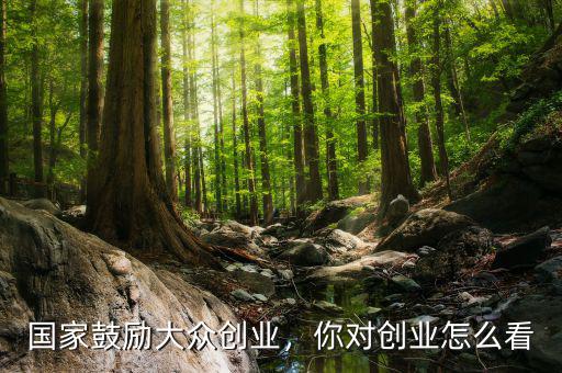 國家鼓勵大眾創(chuàng)業(yè)，你對創(chuàng)業(yè)怎么看