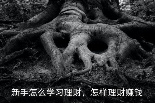 新手怎么學(xué)習(xí)理財(cái)，怎樣理財(cái)賺錢