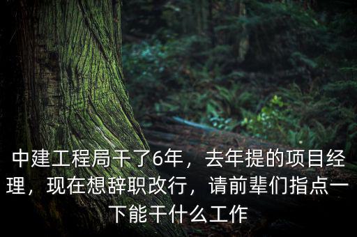 中建工程局干了6年，去年提的項(xiàng)目經(jīng)理，現(xiàn)在想辭職改行，請(qǐng)前輩們指點(diǎn)一下能干什么工作