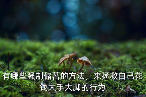 有哪些強制儲蓄的方法，來拯救自己花錢大手大腳的行為