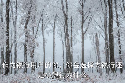 作為銀行用戶的你，你會選擇大銀行還是小銀行為什么