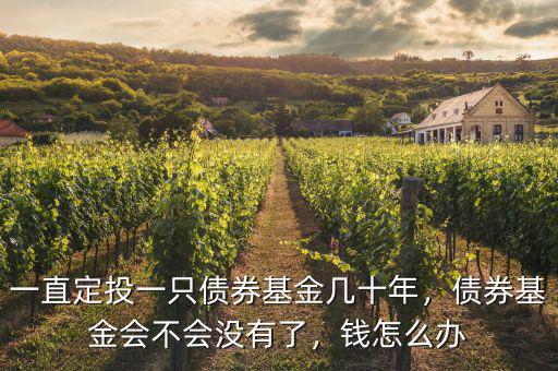 一直定投一只債券基金幾十年，債券基金會不會沒有了，錢怎么辦