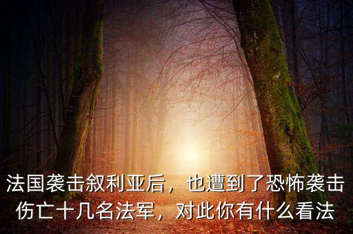 法國襲擊敘利亞后，也遭到了恐怖襲擊傷亡十幾名法軍，對此你有什么看法