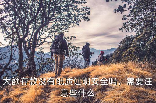 大額存款沒有紙質(zhì)證明安全嗎，需要注意些什么