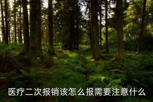 2016年報(bào)怎么報(bào),醫(yī)療二次報(bào)銷(xiāo)該怎么報(bào)