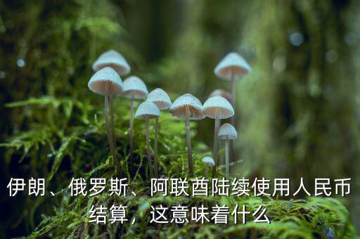 伊朗、俄羅斯、阿聯(lián)酋陸續(xù)使用人民幣結(jié)算，這意味著什么