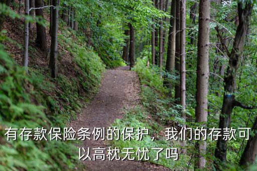 有存款保險條例的保護，我們的存款可以高枕無憂了嗎