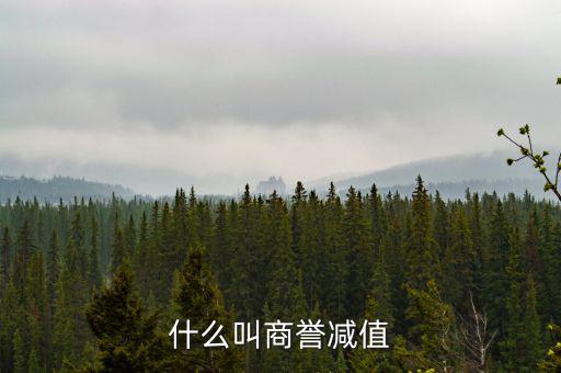 什么是商譽(yù)減值測(cè)試,商譽(yù)減值是壞事嗎