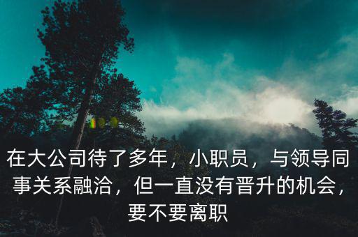 在大公司待了多年，小職員，與領(lǐng)導(dǎo)同事關(guān)系融洽，但一直沒有晉升的機(jī)會(huì)，要不要離職