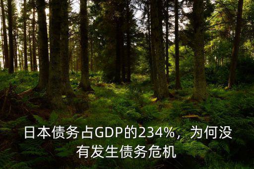 為什么發(fā)生債務(wù)危機(jī),為何沒(méi)有發(fā)生債務(wù)危機(jī)