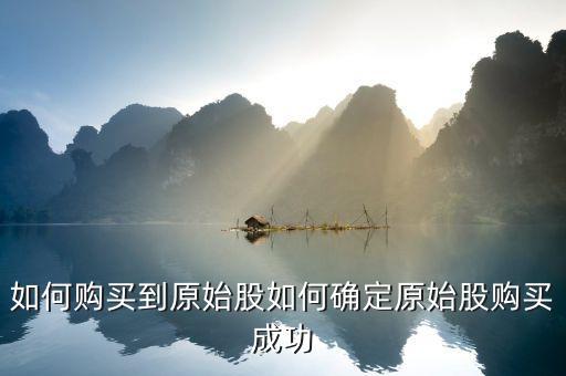 原始股股數怎么確定,如何確定原始股購買成功