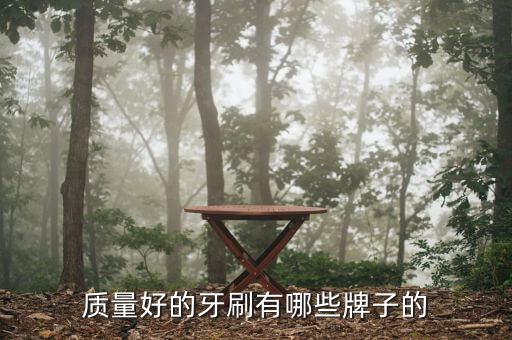 一支牙刷質量多少,牙刷應該多久換一次