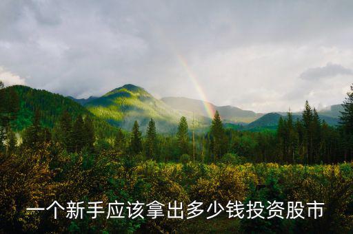 一個(gè)新手應(yīng)該拿出多少錢(qián)投資股市