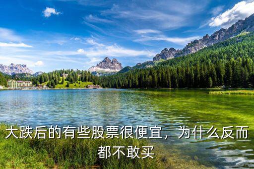 大跌后的有些股票很便宜，為什么反而都不敢買