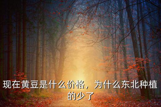黃豆價格怎么這么低,現在黃豆是什么價格