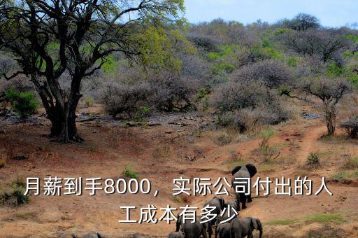 月薪到手8000，實(shí)際公司付出的人工成本有多少