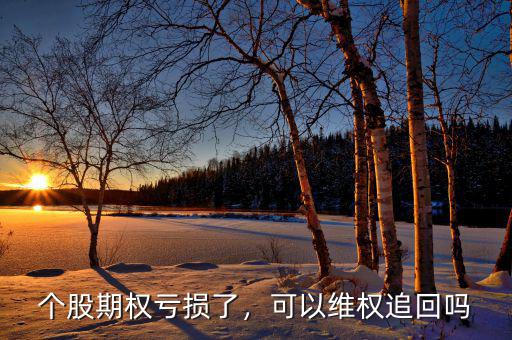 個(gè)股期權(quán)一張是多少,個(gè)股期權(quán)虧損了