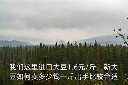 我們這里進(jìn)口大豆1.6元/斤，新大豆如何賣多少錢一斤出手比較合適